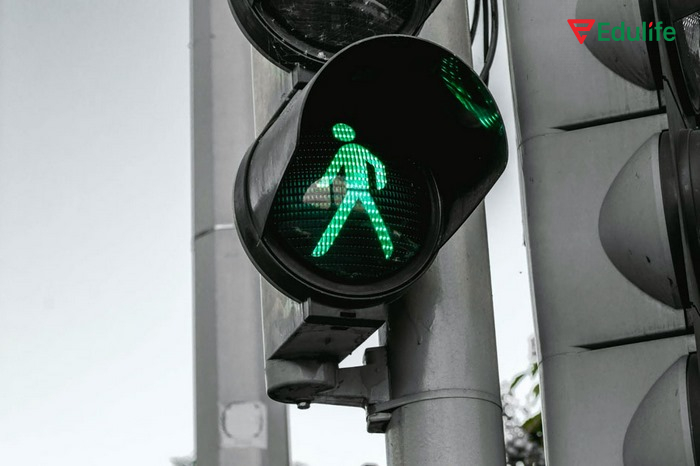 Cấu trúc must dùng để đưa ra yêu cầu bắt buộc về luật lệ