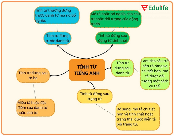 So sánh hơn đôi khi còn dùng đến các tính từ tuyệt đối, không cần biến đổi theo quy tắc