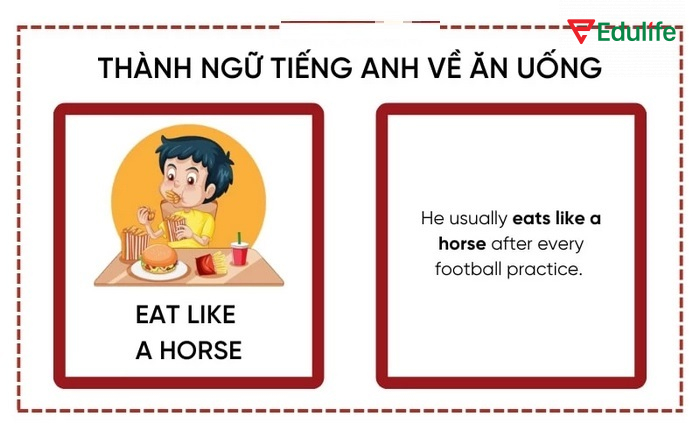 Ví dụ minh họa thành ngữ tiếng Anh về ăn uống