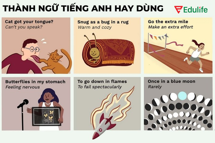 Các thành ngữ tiếng Anh hay dùng phổ biến