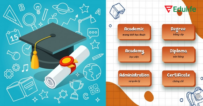 Nắm được các từ vựng chủ đề Education về bằng cấp, chứng chỉ, cấp học,... bạn có thể tự tin giao tiếp khi nói về học vấn