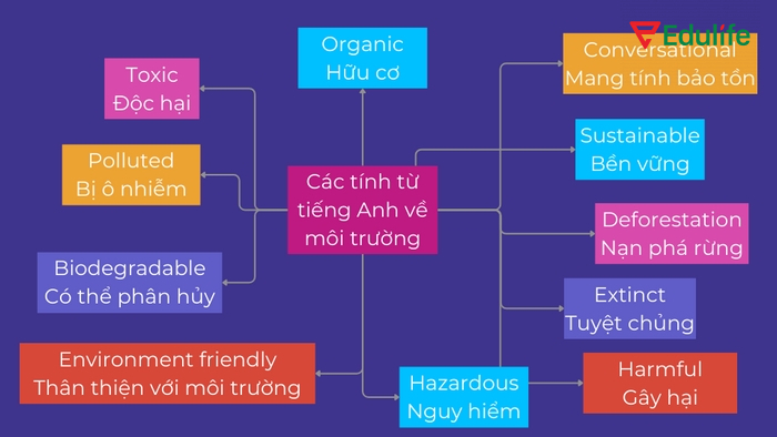 Nói về bảo tồn thiên nhiên thì bạn cần sử dụng các từ vựng chủ đề môi trường