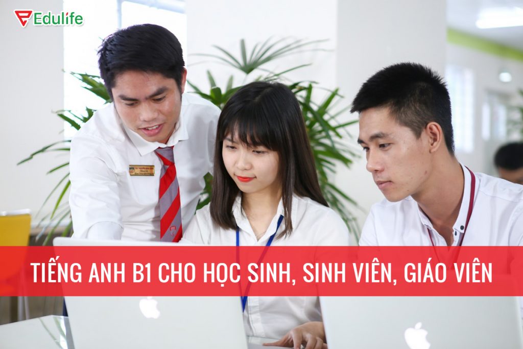học TOEIC hay B1 dễ hơn