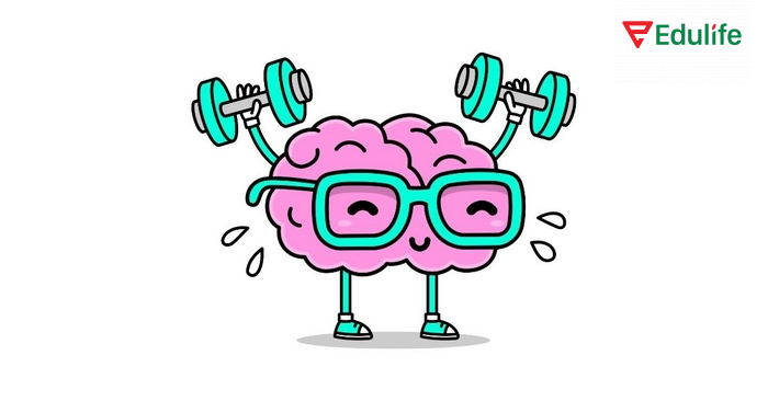 Active Recall kích thích não bộ tự động ghi nhớ thông tin sâu hơn