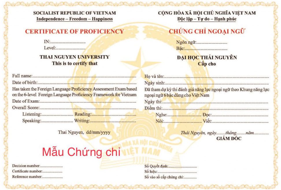chứng chỉ b1 trường đại học thái nguyên