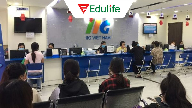 Thí sinh có thể đăng ký thi Toeic trực tiếp tại văn phòng IIG Việt Nam