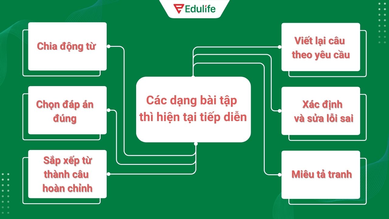 Các dạng bài tập tiếng Anh thì hiện tại tiếp diễn phổ biến