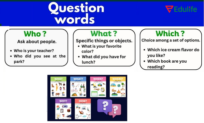 Câu hỏi có Who/What/Which là một trong các dạng câu hỏi trong tiếng Anh đa dạng ứng dụng