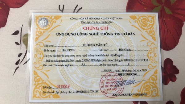 danh sách các trường cấp chứng chỉ tin học