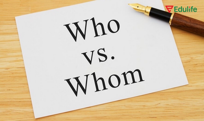 Ý nghĩa và cách dùng who whom whose trong tiếng Anh