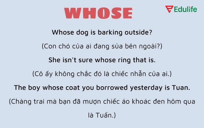 Whose được dùng để thay người hoặc vật, giúp nối danh từ với danh từ khác sở hữu nó để tránh lặp từ trong câu