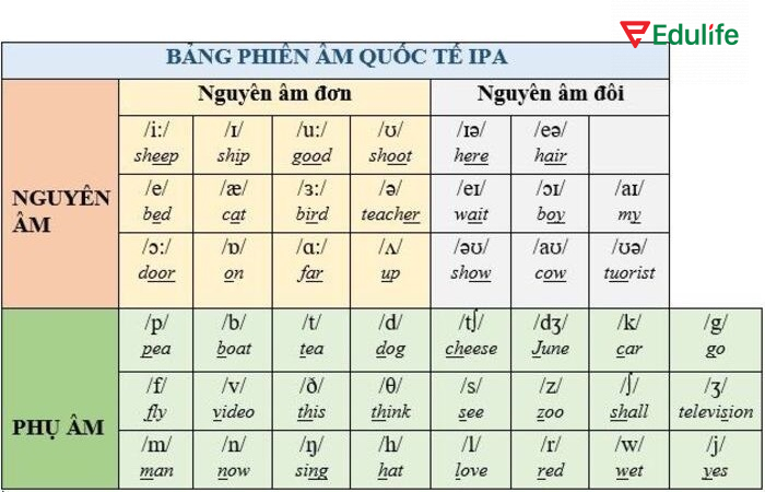 Bảng phiên âm tiếng Anh quốc tế IPA gồm nguyên âm, phụ âm