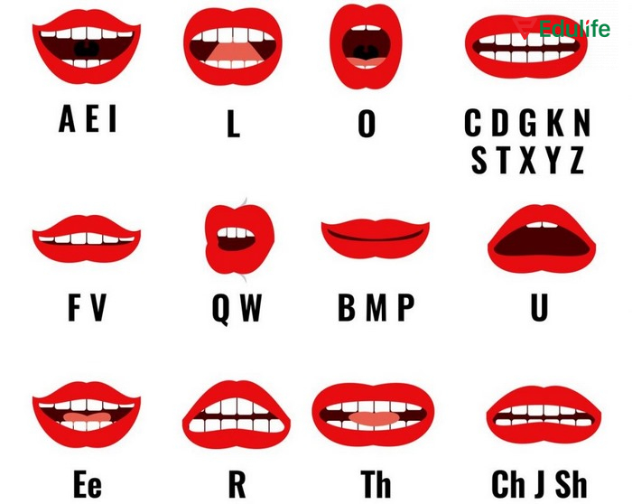 Khẩu hình miệng cách phát âm chữ cái trong tiếng Anh