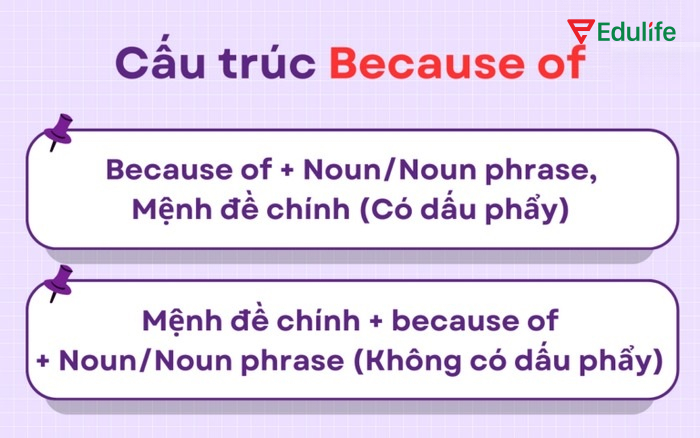 Cấu trúc ngữ pháp because of