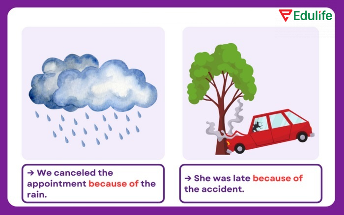 Ví dụ về cách sử dụng because of trong tiếng Anh
