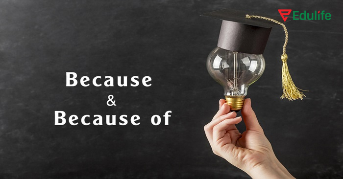 Because of đi với danh từ, cụm danh từ, V-ing còn because đi với chủ ngữ + động từ