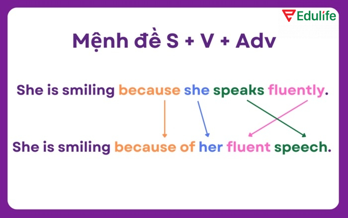 Cấu trúc dạng S + V + Adv