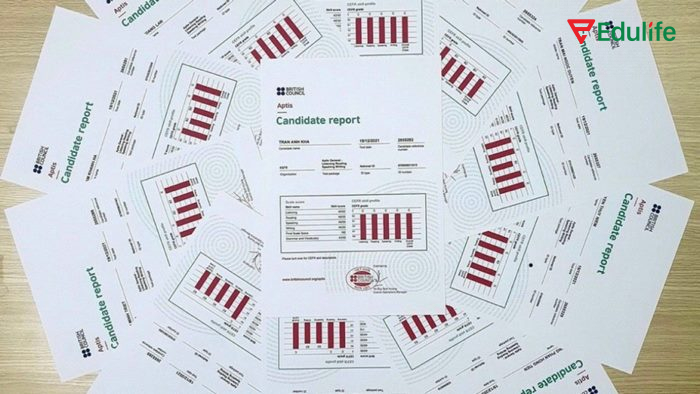 Bạn có thể xin cấp lại chứng chỉ APTIS bản sao do Hội đồng Anh cấp nếu làm mất/hư hỏng bằng