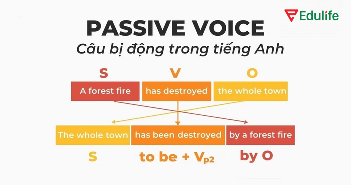 Để chuyển đổi từ câu chủ động sang câu bị động chính xác, đầu tiên bạn cần xác định đúng tân ngữ