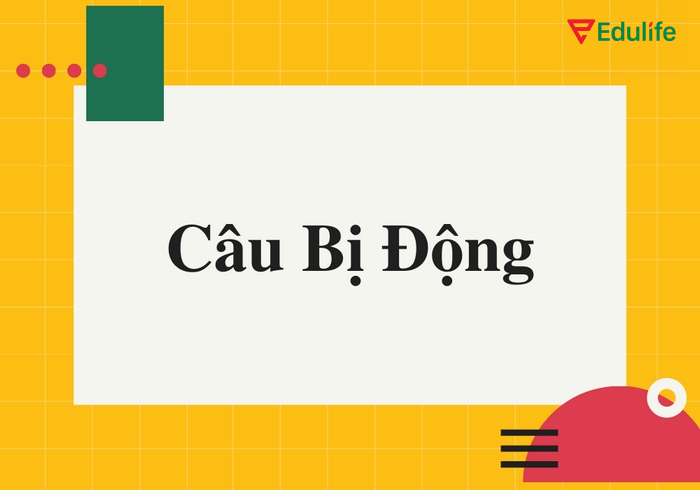 Câu bị động thường được ứng dụng trong báo cáo, luận văn,... thể hiện sự khách quan, chuyên nghiệp