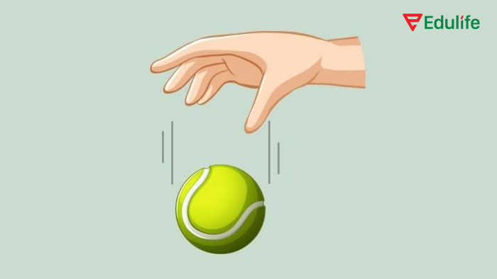 Câu điều kiện loại 0 có thể dùng để nói đến quy luật tự nhiên, nguyên lý khoa học đã được công nhận rộng rãi