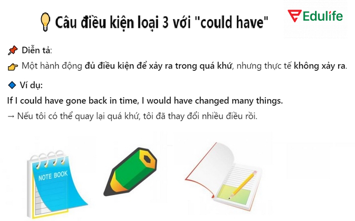 Câu điều kiện loại 3 với could have nói đến sự việc đủ điều kiện xảy ra trong quá khứ nhưng không diễn ra