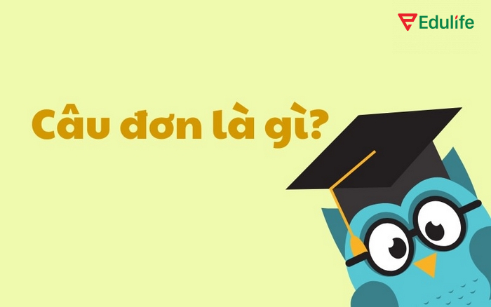 Câu đơn là dạng câu chỉ có một mệnh đề độc lập diễn đạt rõ nghĩa