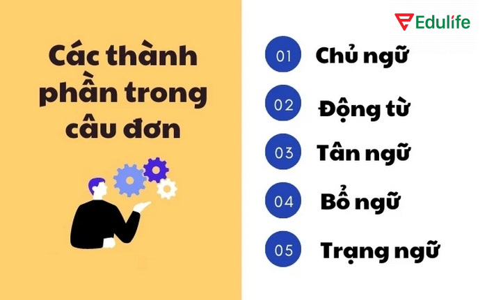 Những phần phần phổ biến thường có trong câu đơn