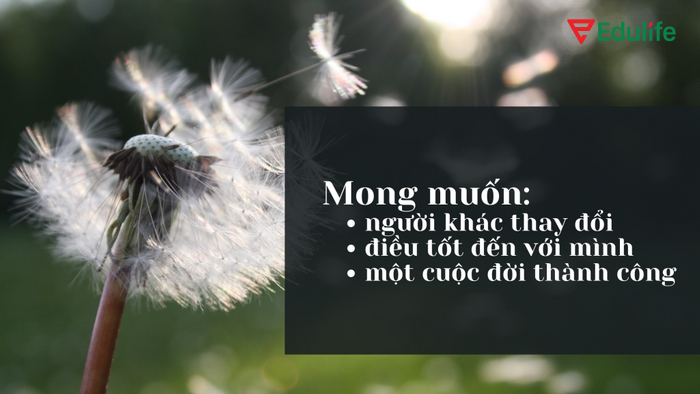 Câu giả định có thể truyền tải mong muốn điều gì đó mang tính hư cấu ở hiện tại hoặc quá khứ