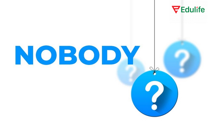 Câu hỏi đuôi kết hợp nobody mang nghĩa phủ định, cần dùng đại từ “they”