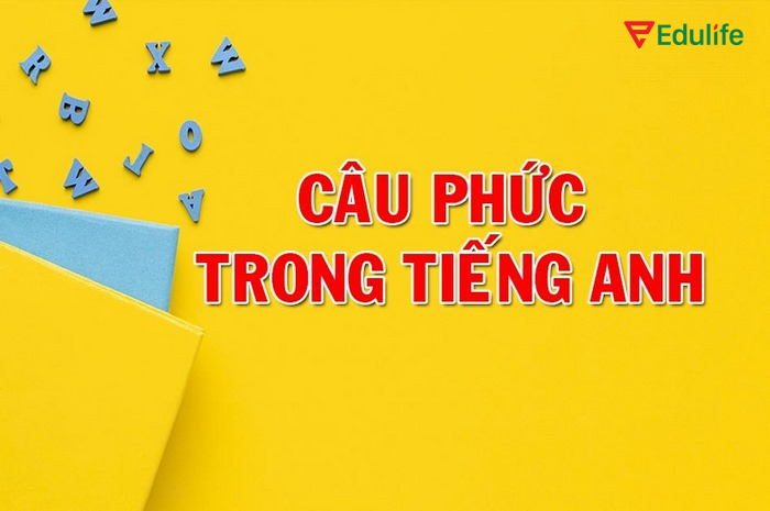Câu phức trình bày ý kiến, quan điểm mạch lạc, rõ ràng hơn