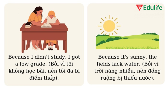 Ví dụ minh họa về câu phức diễn tả nguyên nhân - kết quả trong tiếng Anh