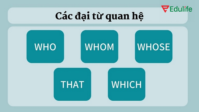 Một số đại từ quan hệ có thể sử dụng trong câu