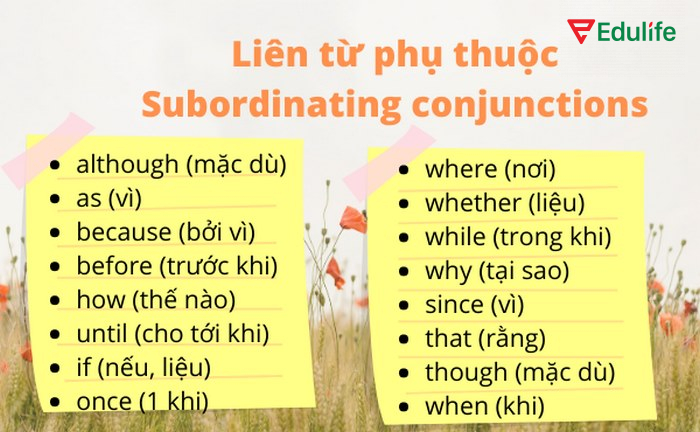 Mệnh đề danh từ trong câu phức hợp có thể là chủ ngữ hoặc tân ngữ, bổ ngữ