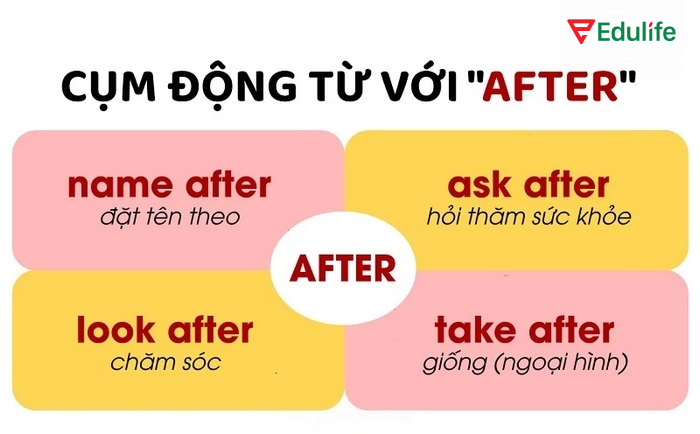 Có nhiều cụm động từ có thể kết hợp với after linh hoạt
