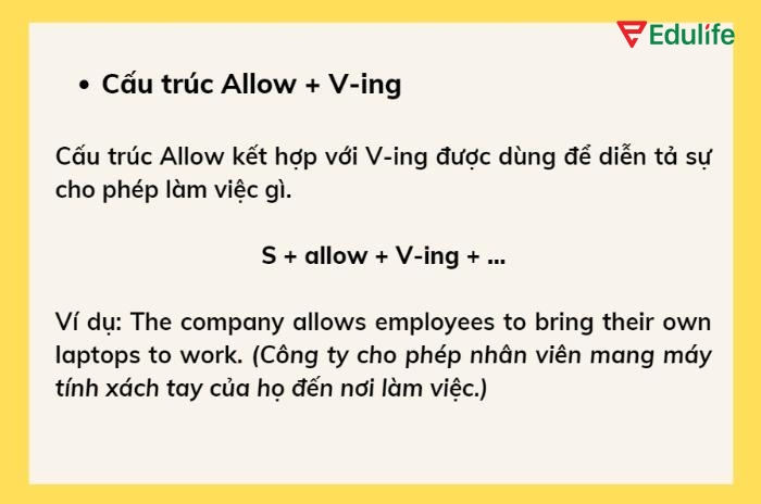 Cấu trúc “S + allow + V-ing” dùng khi hành động được cho phép không nhấn mạnh cụ thể người thực hiện