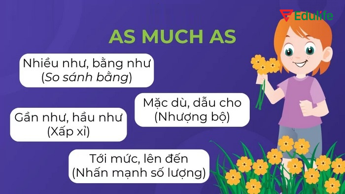 Các ý nghĩa của cụm từ as much as