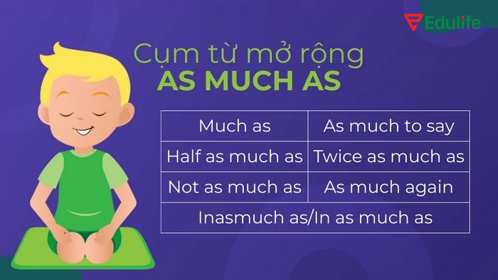 Một số cụm từ mở rộng đi kèm với cấu trúc as much as