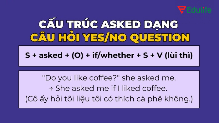 Cấu trúc dạng Yes/No