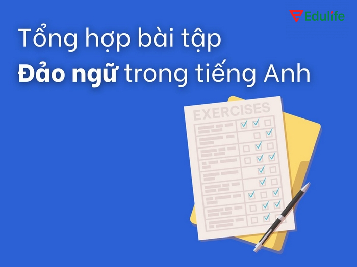 Bài tập cơ bản về cấu trúc đảo ngữ thường giúp bạn ghi nhớ hơn công thức, cách dùng cấu trúc này