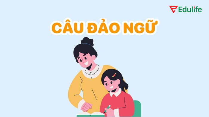 Cấu trúc đảo ngữ xuất hiện phổ biến trong giao tiếp hàng ngày và trong học thuật, văn viết trang trọng