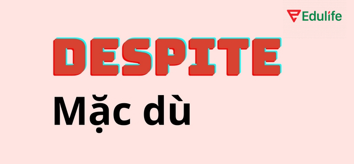 Cấu trúc Despite được sử dụng để trình bày về yếu tố hoặc tình huống tương phản nhau