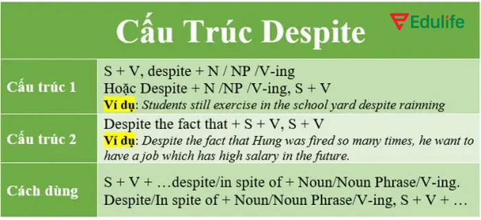 Cấu trúc Despite không bị giới hạn vị trí trong câu