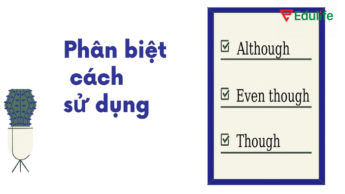 Phân biệt cấu trúc Despite, Although để thực hiện chuyển đổi đúng về ngữ pháp