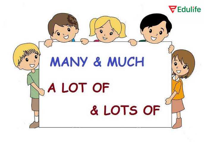 Khi dùng cấu trúc “enough”, không thêm many/much/a lot of/lots of trước danh từ