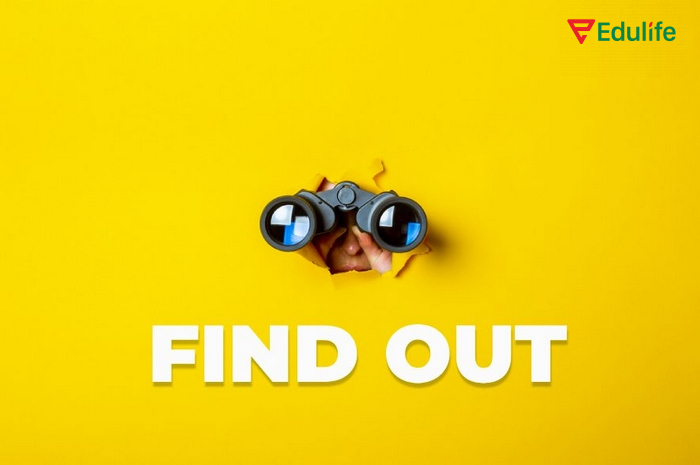 Cấu trúc Find Out dùng để nói ai đó đã khám phá hoặc phát hiện điều gì đó mà trước đó chưa biết