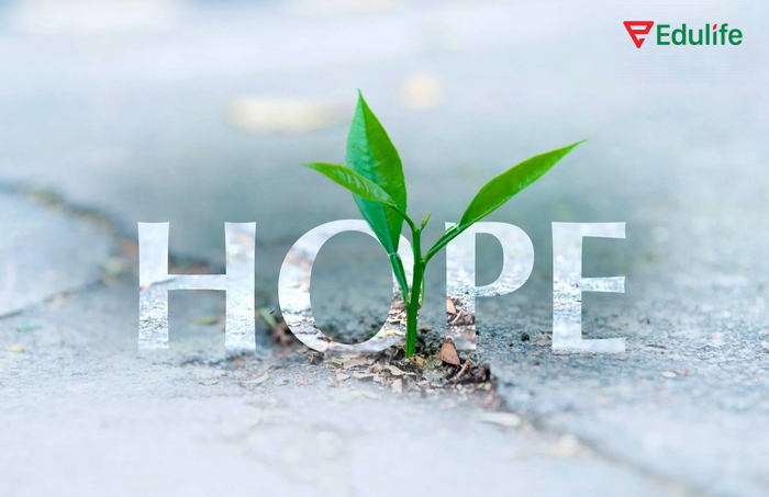 Cấu trúc Hope dùng để thể hiện hy vọng, mong muốn một điều tích cực sẽ xảy ra