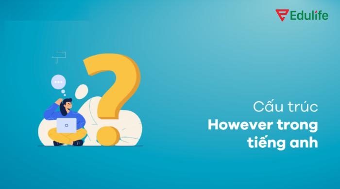“However” là một trạng từ mang nghĩa “tuy nhiên”, dùng để thể hiện sự tương phản giữa hai ý trong câu hoặc giữa hai câu độc lập