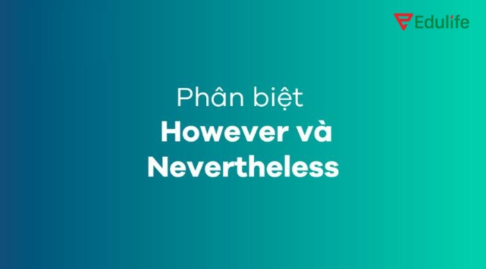 Cả hai đều chỉ sự tương phản, nhưng “Nevertheless” mang sắc thái nhấn mạnh và trang trọng hơn “However”