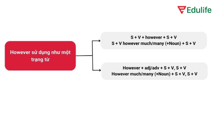 "However" có thể dùng như trạng từ để nhấn mạnh mức độ hoặc cách thức của hành động, dù cho kết quả không đổi